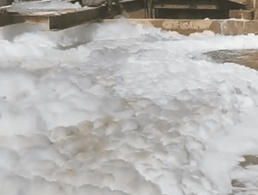 （圖：動物屠宰廢水起泡原因）