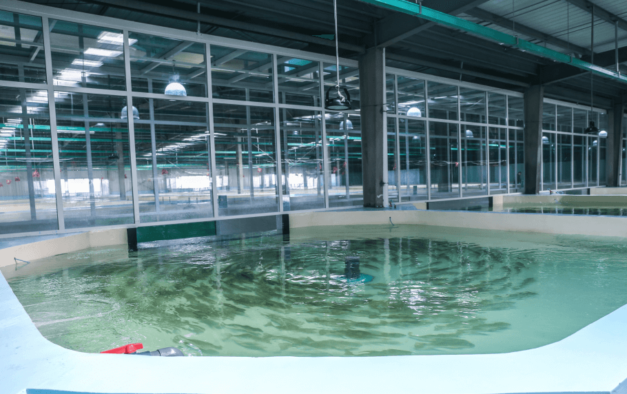 （圖：噴涂水處理用消泡劑應(yīng)用）